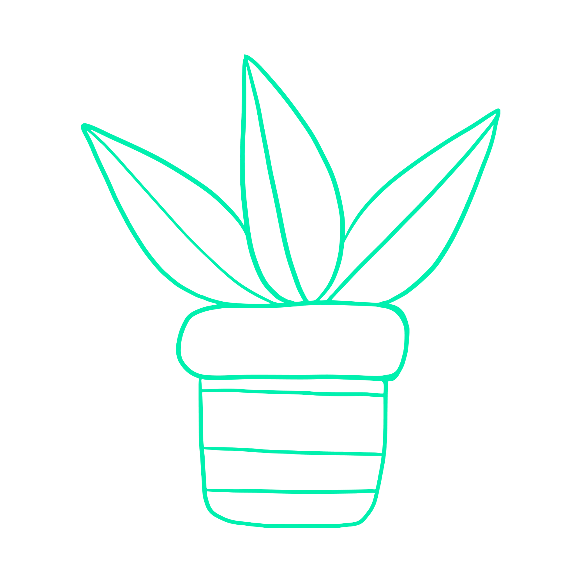 Hand-drawn illustration of a potted plant